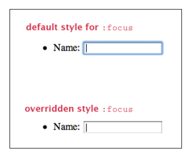 alt: Two examples of a form field: one with the default focus style, and one with an overridden focus style
