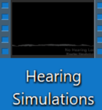 Screengrab of the Hearing Simulations desktop icon