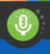 Screengrab of the microphone button in the green or "on" state.