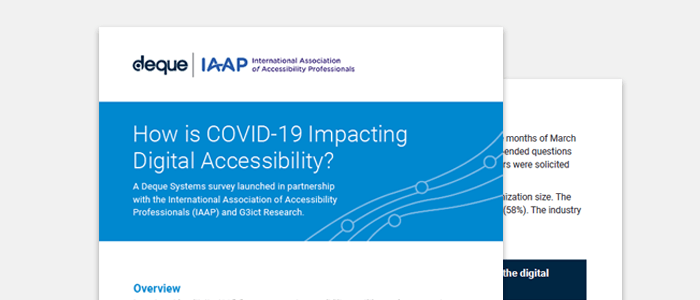 Snapshot of COVID-19 Digital Accessibility Survey Report
