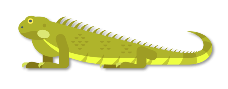 Cute Green Iguana