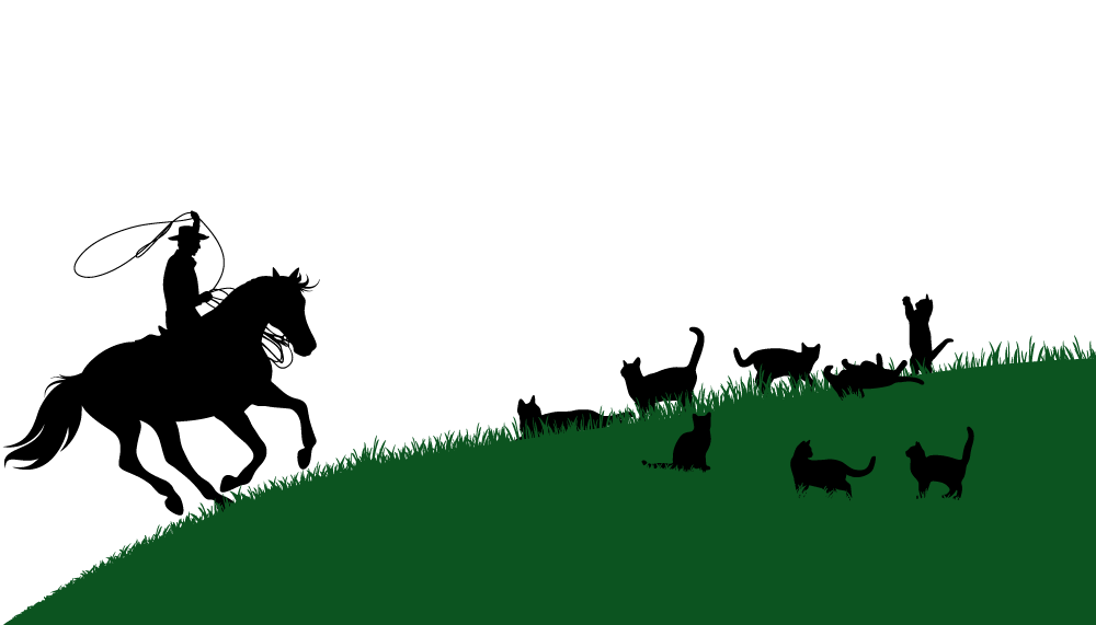 Illustration of a rancher herding cats