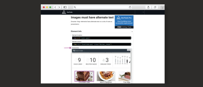 Screenshot of unique page generated via the Share issue feature showing the new Screenshotting functionality for axe DevTools Pro users.