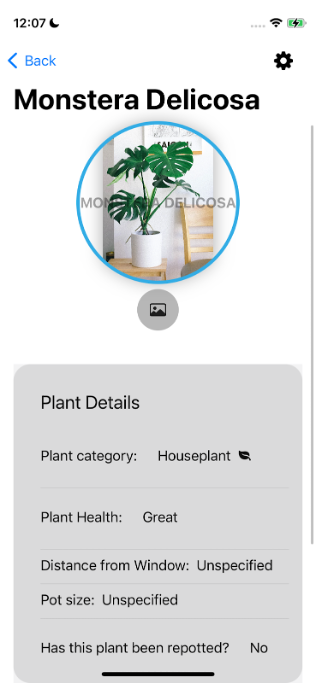  kate.owens (she/her):spiral_calendar_pad: 11:52 AM here we go... A screenshot of the plant detail screen for a Monstera Deliciosa plant from the Plantiverse app. There is an image of the plant in the top third of the screen right underneath the plant’s name heading. On the picture of the plant, there is a text overlay of the plant’s name, the text is a light gray color and is partially transparent - it is VERY difficult to read