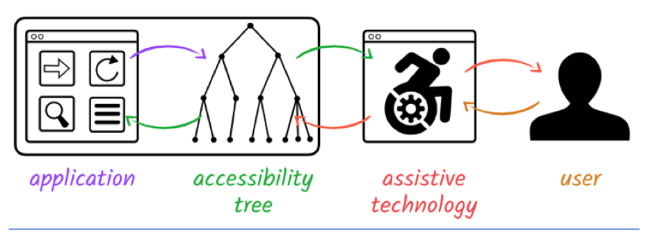 Image showing how Android Operating System translates a view on screen into an Accessibility Tree and from that tree Assistive Technology gathers data and presents to an Assistive Technology user.