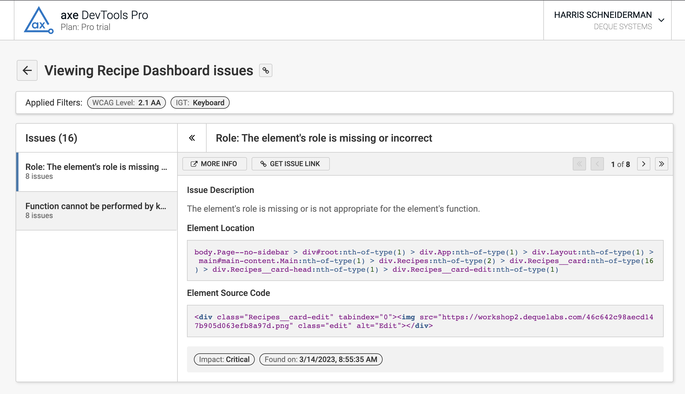 Screenshot of the "issues view" from the share test record page that includes a description, location, source code and more on different accessibility issues.