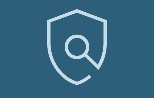 Magnifying glass icon